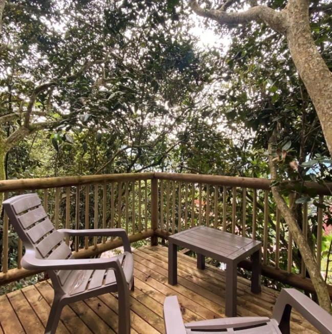 Nido De Montana Chalet